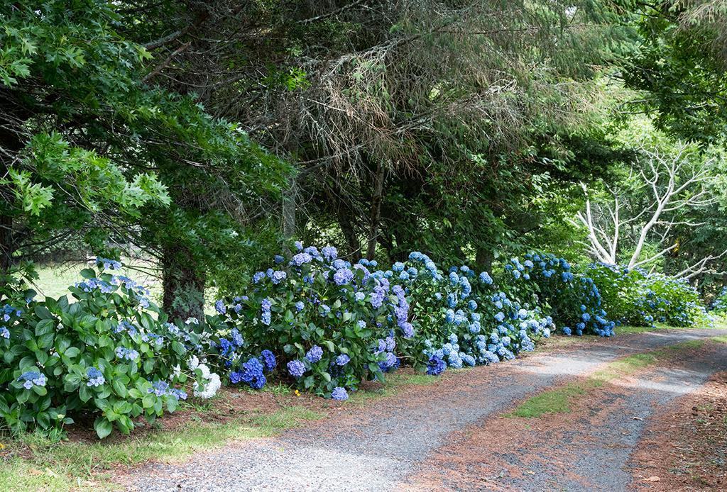 Doolans Country Retreat B&B Rotorua Eksteriør bilde